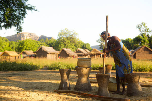 Pilage du riz dans un village des Hautes Terres
