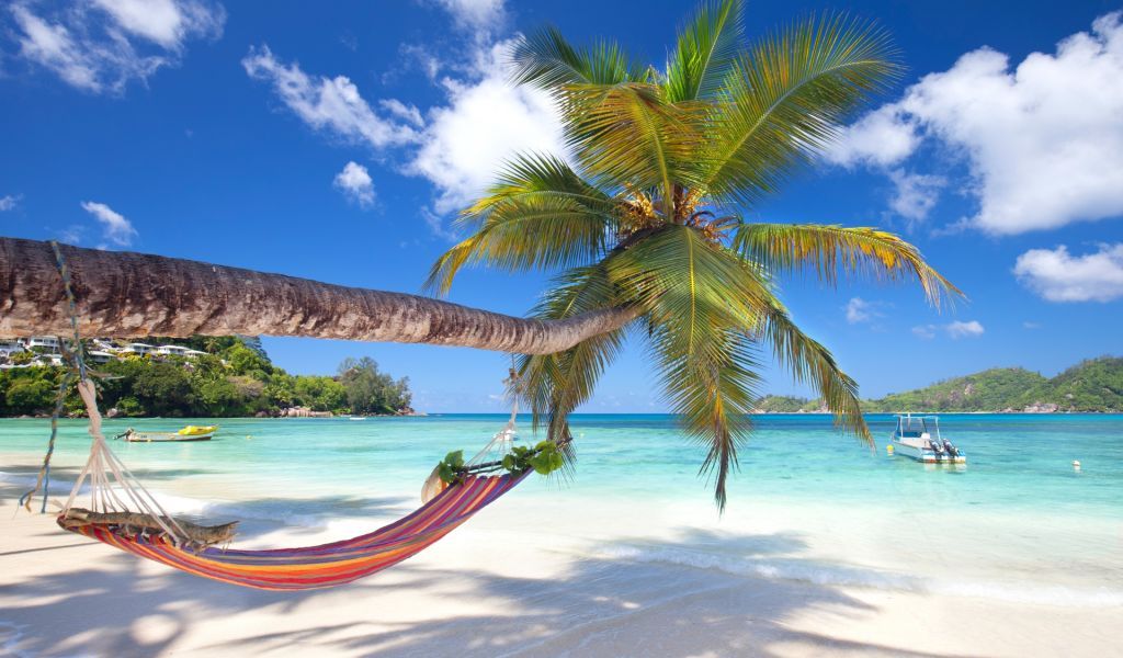 Hamac sous les cocotiers, plage du Nord