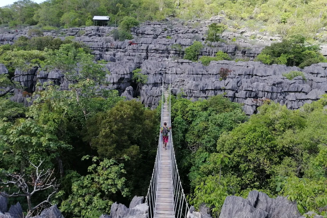 Pont suspendu du massif de l'Ankarana