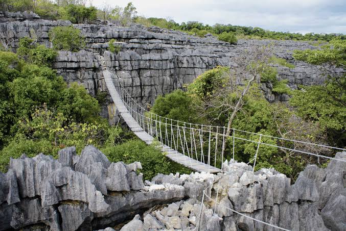 Passerelle suspendue au-dessus des tsingy de l'Ankarana