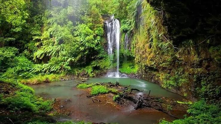 Grande cascade de la Montagne d'Ambre